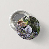 NIEDLICHE SCHUHE BUTTON (Vorne & Hinten)