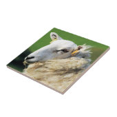 NIEDLICHE SCHUHE FLIESE (Seite)