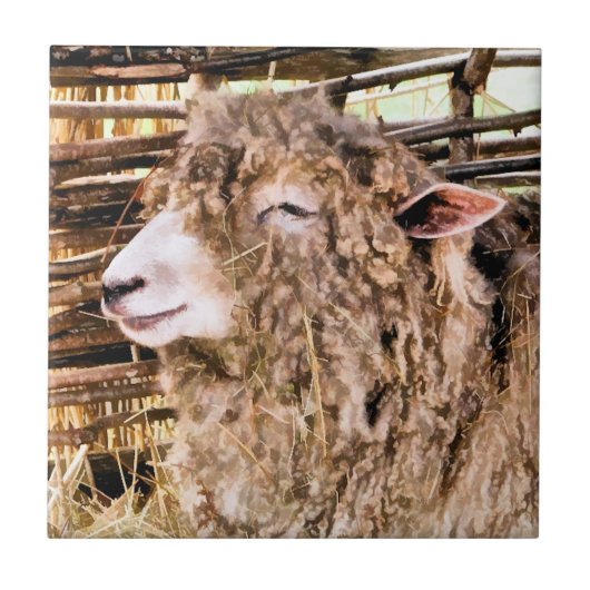 NIEDLICHE SCHUHE FLIESE (Vorderseite)