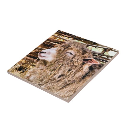 NIEDLICHE SCHUHE FLIESE (Seite)