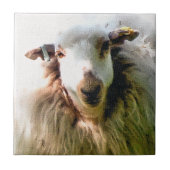 NIEDLICHE SCHUHE FLIESE (Vorderseite)