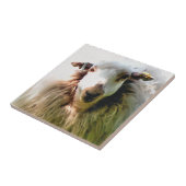 NIEDLICHE SCHUHE FLIESE (Seite)