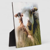 NIEDLICHE SCHUHE FOTOPLATTE (Seite)