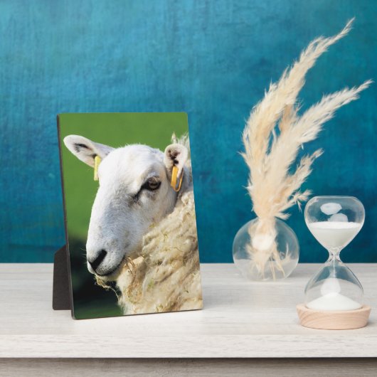 NIEDLICHE SCHUHE FOTOPLATTE (Seite)