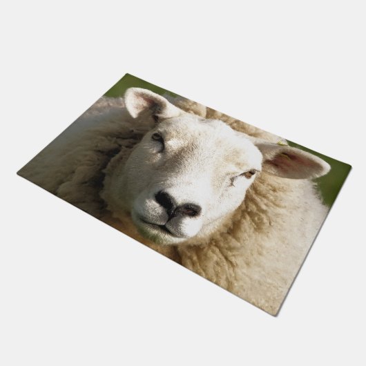 NIEDLICHE SCHUHE FUßMATTE (Schrägansicht)