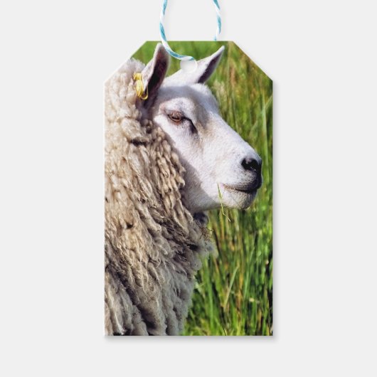 NIEDLICHE SCHUHE GESCHENKANHÄNGER (Vorderseite)