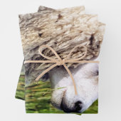 NIEDLICHE SCHUHE GESCHENKPAPIER SET (Beispiel)