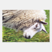 NIEDLICHE SCHUHE GESCHENKPAPIER SET (Vorderseite)