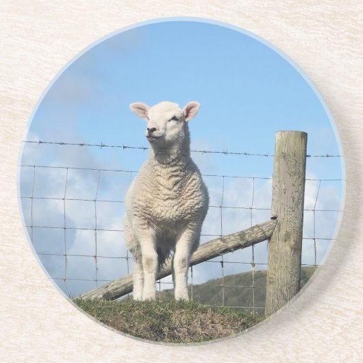 NIEDLICHE SCHUHE GETRÄNKEUNTERSETZER (Vorne)