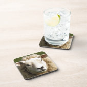 NIEDLICHE SCHUHE GETRÄNKEUNTERSETZER (Rechte Seite)