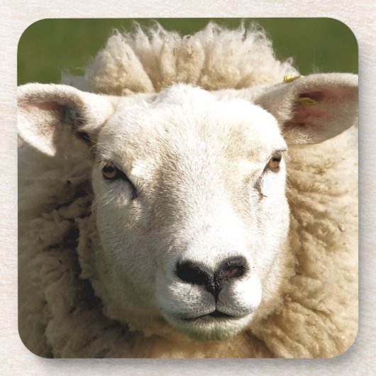 NIEDLICHE SCHUHE GETRÄNKEUNTERSETZER (Vorderseite)