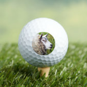 NIEDLICHE SCHUHE GOLFBALL (Insitu T-Shirt)