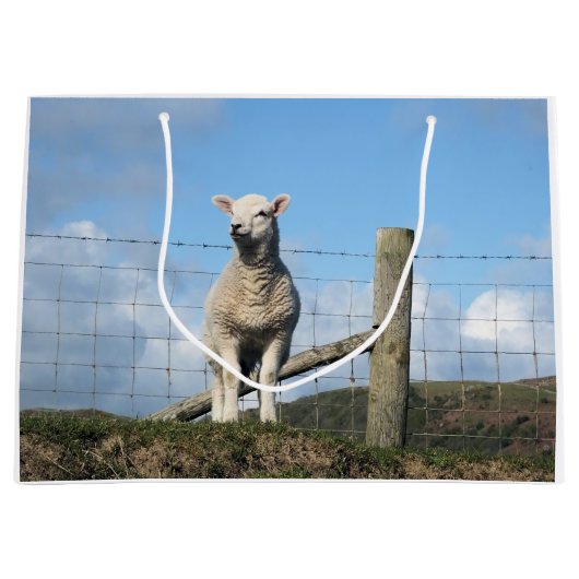 NIEDLICHE SCHUHE GROßE GESCHENKTÜTE (Vorderseite)