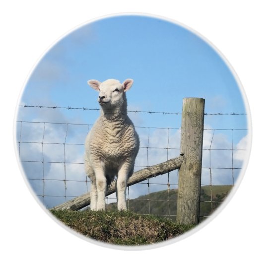 NIEDLICHE SCHUHE KERAMIKKNAUF (Vorderseite)