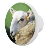 NIEDLICHE SCHUHE KERAMIKKNAUF (Rechts)