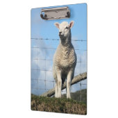 NIEDLICHE SCHUHE KLEMMBRETT (Links)