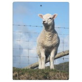 NIEDLICHE SCHUHE KLEMMBRETT (Rückseite)