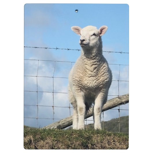 NIEDLICHE SCHUHE KLEMMBRETT (Rückseite)