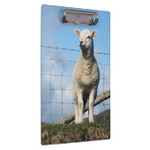 NIEDLICHE SCHUHE KLEMMBRETT (Rechts)