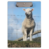 NIEDLICHE SCHUHE KLEMMBRETT (Vorderseite)