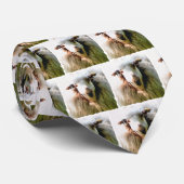 NIEDLICHE SCHUHE KRAWATTE (Gerollt)