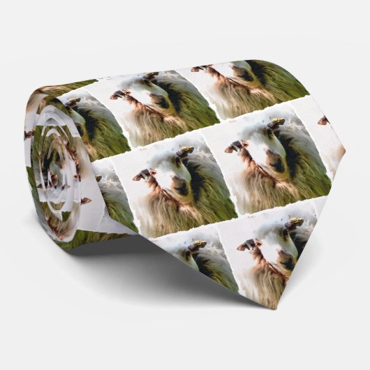 NIEDLICHE SCHUHE KRAWATTE (Gerollt)