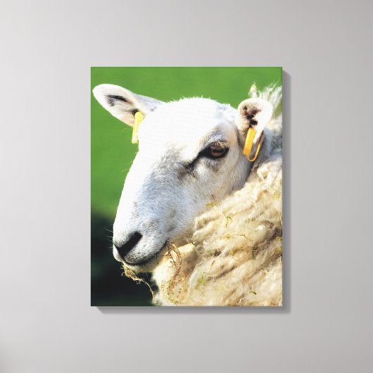 NIEDLICHE SCHUHE LEINWANDDRUCK (Vorderseite)