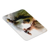 NIEDLICHE SCHUHE MAGNET (Rechte Seite)