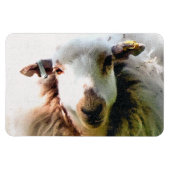 NIEDLICHE SCHUHE MAGNET (Horizontal)