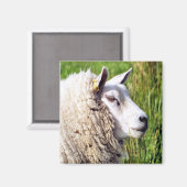 NIEDLICHE SCHUHE MAGNET (Vorderseite/Rückseite)