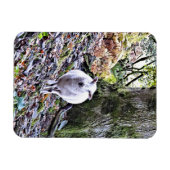 NIEDLICHE SCHUHE MAGNET (Horizontal)