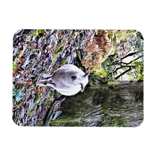 NIEDLICHE SCHUHE MAGNET (Horizontal)