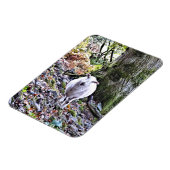 NIEDLICHE SCHUHE MAGNET (Linke Seite)