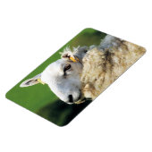 NIEDLICHE SCHUHE MAGNET (Linke Seite)