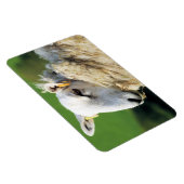 NIEDLICHE SCHUHE MAGNET (Rechte Seite)