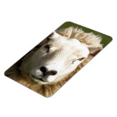 NIEDLICHE SCHUHE MAGNET (Linke Seite)