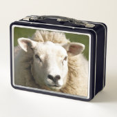 NIEDLICHE SCHUHE METALL BROTDOSE (Rückseite)