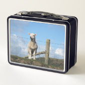 NIEDLICHE SCHUHE METALL BROTDOSE (Rückseite)