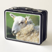 NIEDLICHE SCHUHE METALL BROTDOSE (Rückseite)