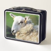 NIEDLICHE SCHUHE METALL BROTDOSE (Vorderseite)