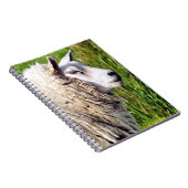 NIEDLICHE SCHUHE NOTIZBLOCK (Rechte Seite)