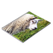 NIEDLICHE SCHUHE NOTIZBLOCK (Linke Seite)