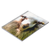 NIEDLICHE SCHUHE NOTIZBLOCK (Linke Seite)