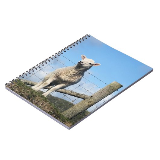 NIEDLICHE SCHUHE NOTIZBLOCK (Linke Seite)