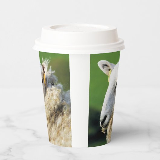 NIEDLICHE SCHUHE PAPPBECHER (Links)