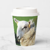 NIEDLICHE SCHUHE PAPPBECHER (Rückseite)