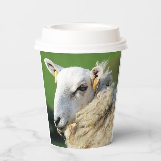 NIEDLICHE SCHUHE PAPPBECHER (Rückseite)