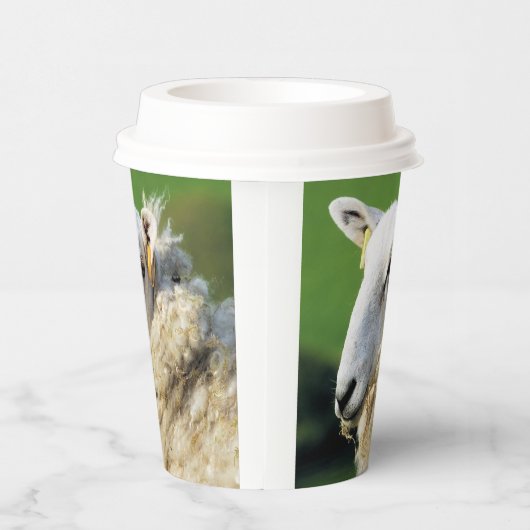 NIEDLICHE SCHUHE PAPPBECHER (Rechts)