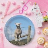 NIEDLICHE SCHUHE PAPPTELLER (Party)