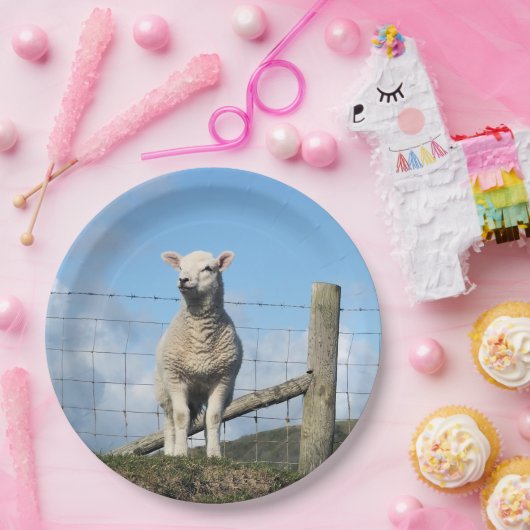 NIEDLICHE SCHUHE PAPPTELLER (Party)